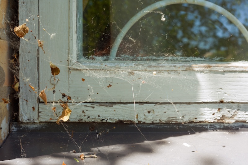 Avis avant achat immobilier